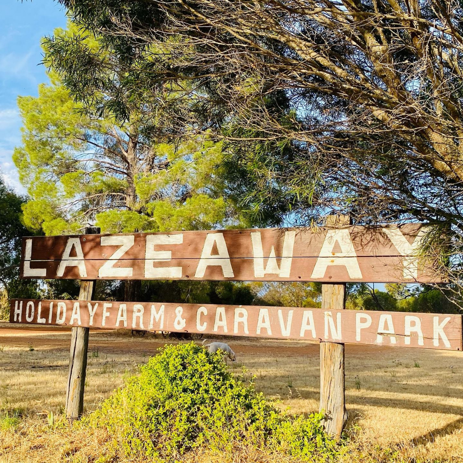 LazeAway Caravan Park Logo